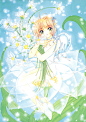 魔卡少女樱 百变小樱 作者：CLAMP