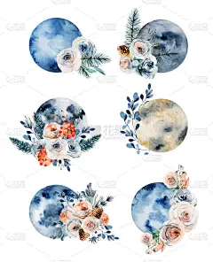古色花（粉红和白玫瑰、桉树枝及冷杉果）装饰中的一组水彩画满月，白色背景上隔绝的古色花组合