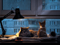 General 2000x1500 indoors rain lamp window animals cat