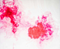 annie-spratt-FXcRNy6aWA4-unsplash