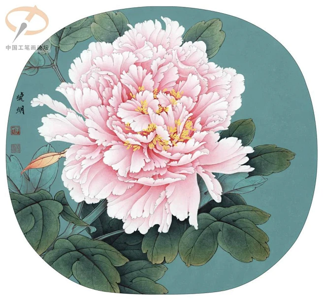 工笔牡丹-花瓣网