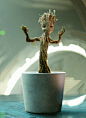 据说树精已经成为了新一代萌神！I am Groot！