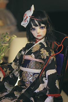 布鲁斯X采集到bjd