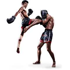 胖发达采集到拳