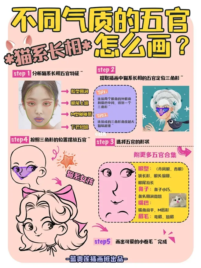 插画教程|你是哪种动物系长相girl : 敲黑板~不同气质的脸型及五官画法来了️ 五步tips教你定位画出不同风格的动物系插画女生 快挑张自拍 ...