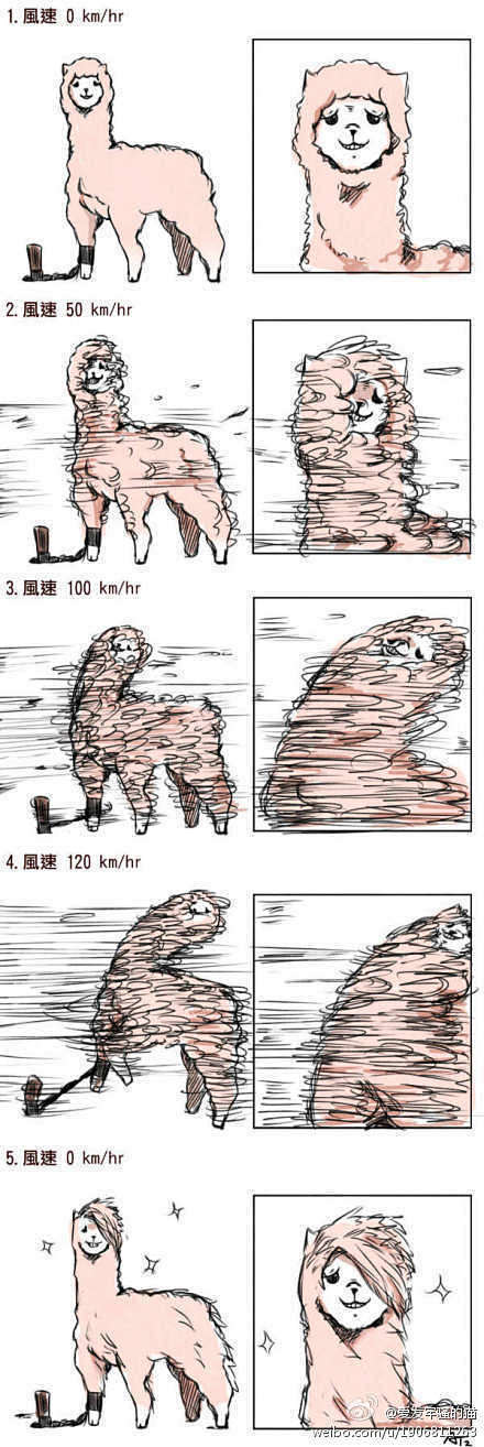 [发型是怎么炼成的] 