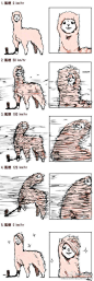 [发型是怎么炼成的] 