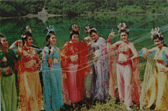 青青~园中葵采集到西游记