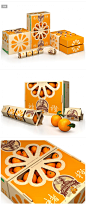 褚橙 Orange Chu 橙子包装设计 by 潘 虎 设计圈 展示 设计时代网-Powered by thinkdo3