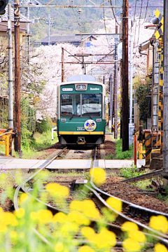 壞胚子采集到列車節節