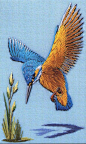 ♒ Enchanting Embroidery ♒ embroidered hummingbird: 