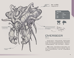 z-Blue采集到星际争霸2设计稿