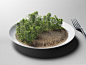 WWF /// A little bit more ? on Behance
