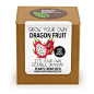 Grow Your Own Dragon Fruit Plant Kit by PlantsFromSeed on Etsy: 