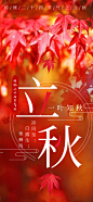 二十四节气传统节气立秋海报