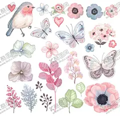 花卉鸟叶子蝴蝶手绘插画 【酷图网】森系,水彩,手绘,插画,卡通,可爱,花草,叶子,鸟,动物,背景印刷设计
