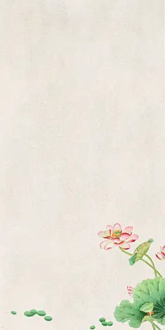 书单壁纸 - 小红书