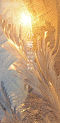 小寒