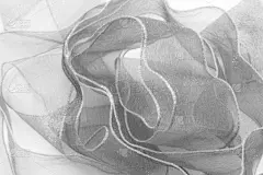 周年纪念,新年前夕,婚礼,生日,缎带,背景聚焦,玫瑰,请柬,贺卡,边框