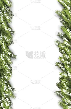 贺卡,枝,杉树,名片,新的,边框,纹理效果,雪,无人