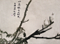 郎静山 枝头小鸟