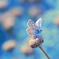 蝶恋花～
