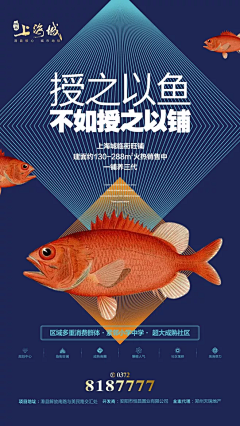 W-N采集到商业
