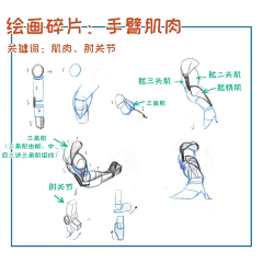 whoiam232采集到anatomy