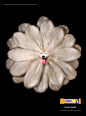 Denta Flex Pedegree : DentaFlex Pedegree flower dog creation / Retouching