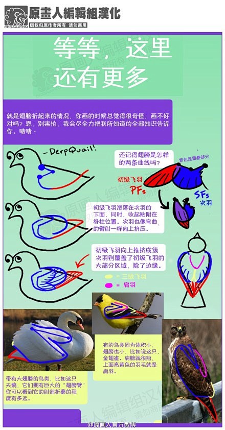 翅膀教程7