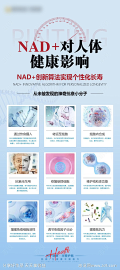 MAX-♀采集到NAD