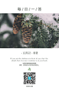 朋友圈日签二维码电子海报 _排版采下来 #率叶插件，让花瓣网更好用#