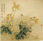 历代近百位大师国画菊花作品