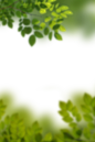 0fedc29d3810800d02cb70bf209363ff48ee789c605a7b-aay8ry_fw1200