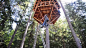 美国小伙Ethan Schlussler设计的自行车树屋电梯 Bicycle Powered Tree House Elevator - 灵感日报 : 来自美国爱达荷州（Idaho）的小伙Ethan Schlussler在他家附近的森林中建造有一座自己的树屋，树屋距离地面约9米高，也许设计时忘了考虑修建楼梯。完成后发现如何“进屋”是个问题……