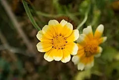 终有归期，不忘相约。经过76个日夜的奋斗，武汉成功啦！为沉默的英雄点赞，为每个努力的人们点赞。