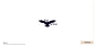 Negative space Raven logo.