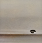 Photograph the Serengeti 