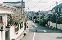 十里麟迹采集到建筑场景