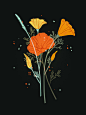 Bontanical : Ongoing botanical series.