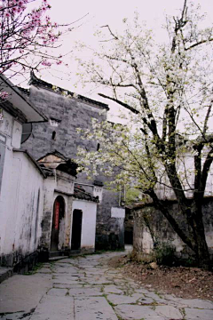 66瑾瑜99采集到乐子