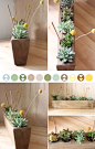 Make Something Mondays {succulent planter}    i really like succulents - plus they are an eco friendly plant since don't require a lot of water and no chemicals or pesticides - plus i think this wooden piece makes a cool display