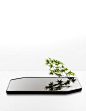 Plan vase by Sebastien Cordoleani, I thought it was a phone, it should be a phone.: 