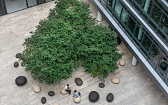 TreeLANDSCAPE采集到景观——办公公共空间