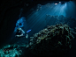 Diving Thailand by Stefan Follows on 500px