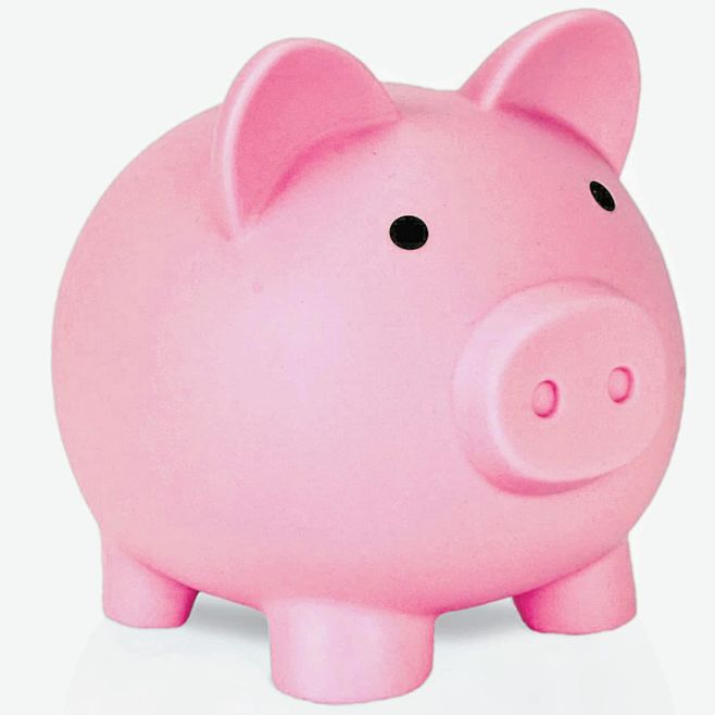 Cute Piggy Bank for ...