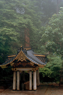 白茶子采集到风景