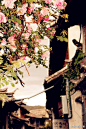 丽江古城，每家每户围墙上都有超大号的蔷薇花。蔷薇全身长满了刺，令人止步，却开满了花，惹人眼球，又孤傲高调----