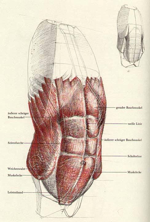 A wonderful book: Di...