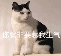 八楼的懒猫采集到哈哈哈